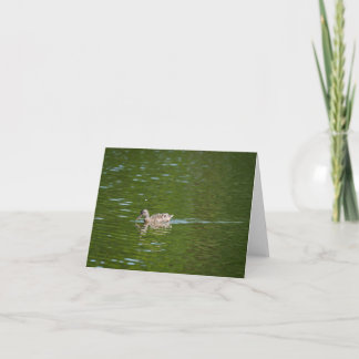Eenden in een groen meer (2) bedankkaart