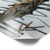 Eenden in een rij foto afdruk (Hoek)