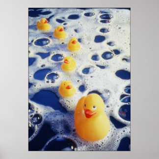Eenden in een rij poster