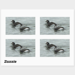 Eenden in Oceaafoto Stickers