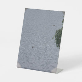 Eenden in vijver foto reclamebord met voetstuk