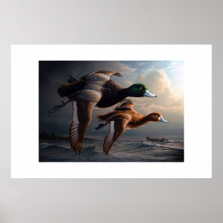 Eenden in vlucht poster