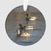 Eenden in water ornament (voorkant)
