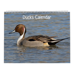 Eenden Kalender