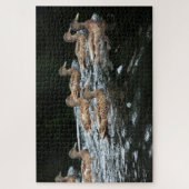 Eenden Legpuzzel (Verticaal)