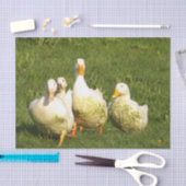 eenden, levend, weide, dier, boerderij, landleven; tissuepapier (Craft)