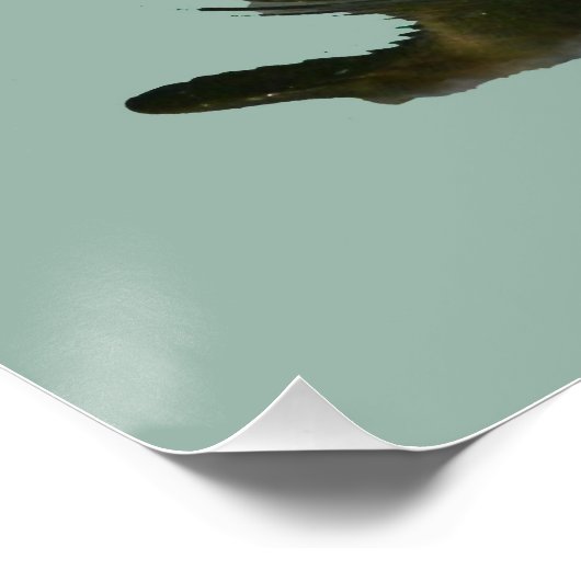 Eenden Mallards Eetbare Frosting Rondes Perfect Poster (Hoek)