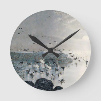Eenden, Mallards en Zwans op het meer bij zonsonde Ronde Klok