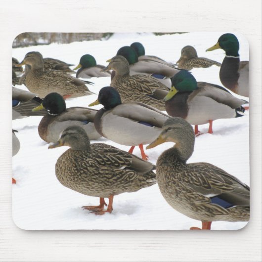 Eenden! Mousepad Muismat (Voorkant)