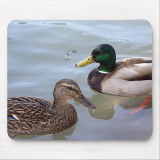 Eenden op een Pond Mousepad Muismat