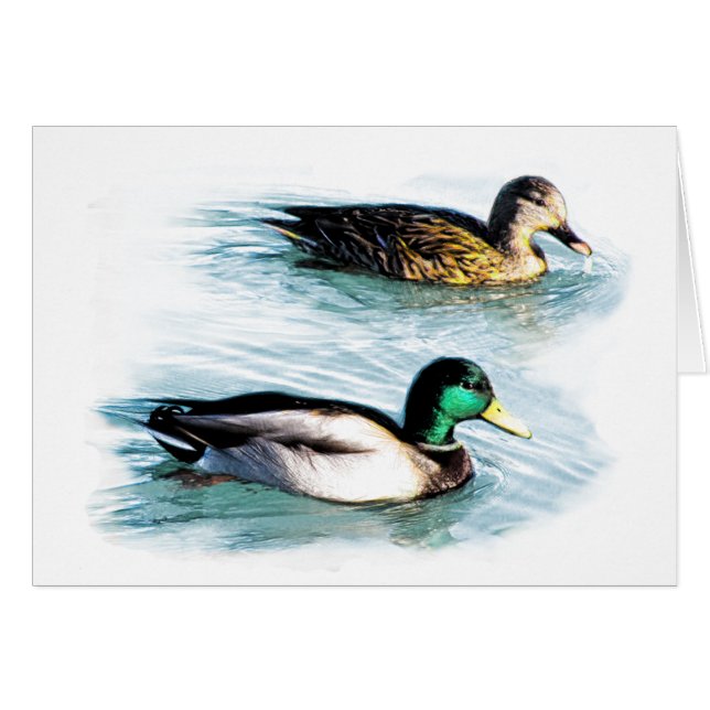 Eenden op het meer (Voorkant Horizontaal)