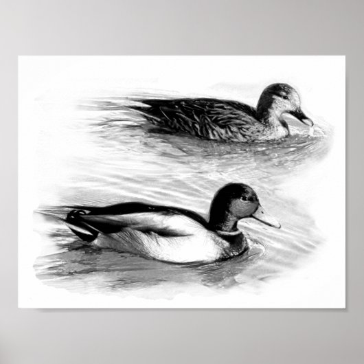Eenden op het meer poster (Voorkant)
