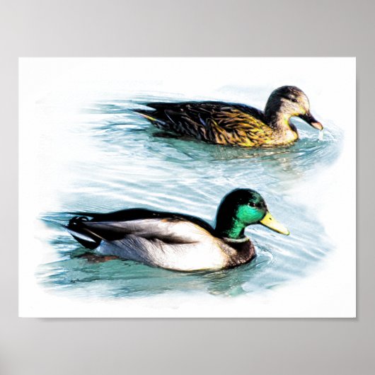 Eenden op het meer poster (Voorkant)