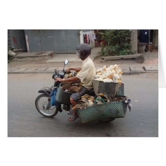 Eenden op motorfiets-Vietnam (Voorkant Horizontaal)