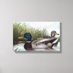 Eenden op schilderen van de Pond Canvas Afdruk