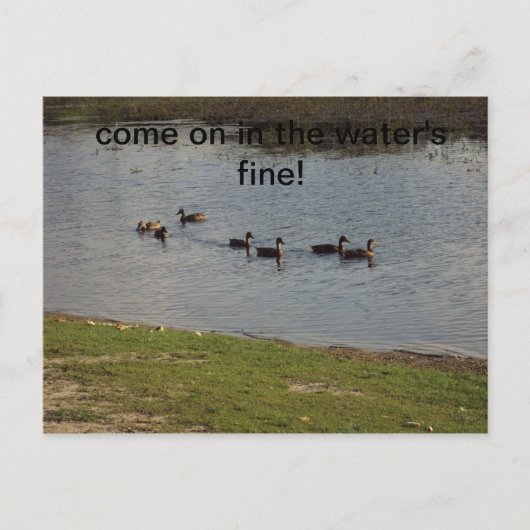 Eenden op wateruitnodiging briefkaart (Voorkant)