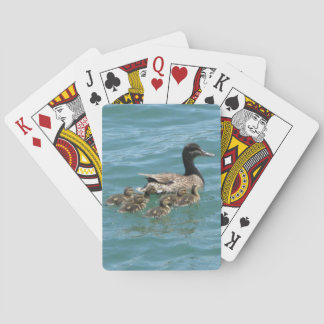 Eenden Pokerkaarten
