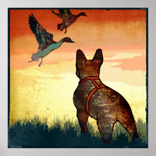 Eenden Poster (Voorkant)