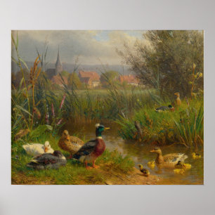 Eenden Poster