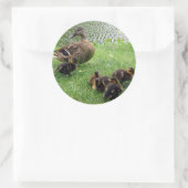 Eenden Ronde Sticker (Tas)