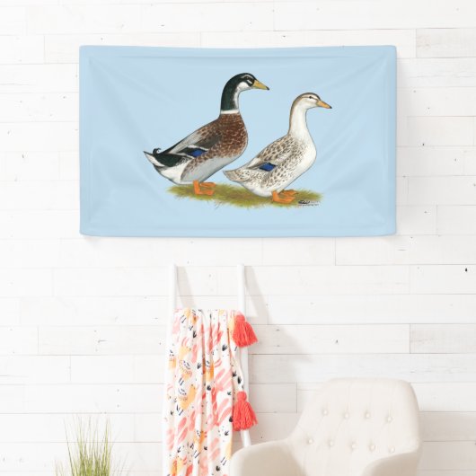 Eenden:  Silver Appleyard Spandoek (Insitu)