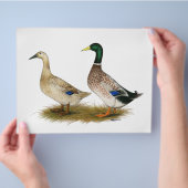 Eenden: Silver Welsh Harlequin Flyer (Hand)