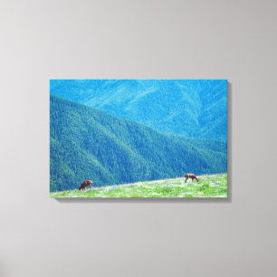 Eenden van de bergen canvas afdruk