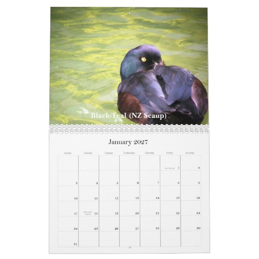 Eenden van Nieuw-Zeeland Kalender (Jan 2027)