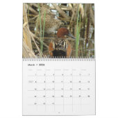 Eenden van Noord-Amerika 2010 Kalender (Mar 2026)