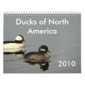 Eenden van Noord-Amerika 2010 Kalender (Hoes)