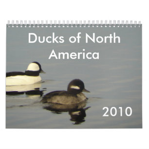 Eenden van Noord-Amerika 2010 Kalender