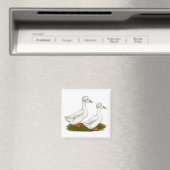 Eenden: White Crested Magneet (Insitu (Vaatwasser))