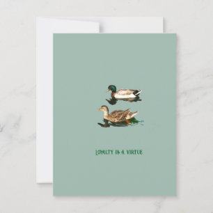 Eenden wilde eenden briefkaart