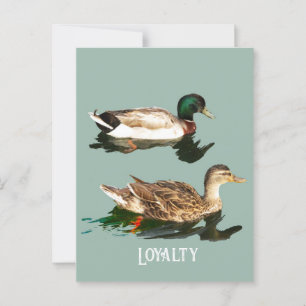 Eenden wilde eenden briefkaart