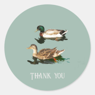 Eenden wilde eenden ronde sticker
