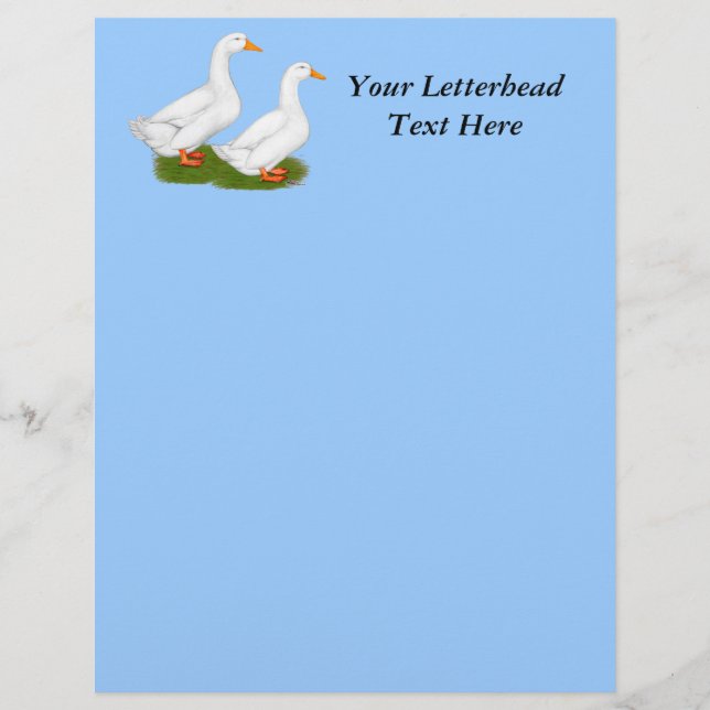 Eenden: Witte pekins (Voorkant)