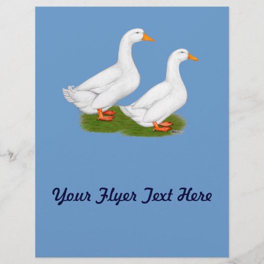 Eenden: Witte pekins Flyer (Voorkant)