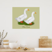 Eenden: Witte pekins Poster (Keuken)