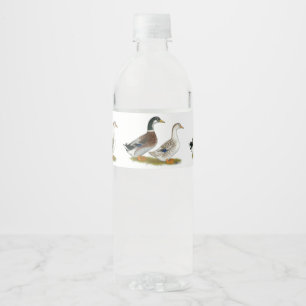 Eenden: Zilveren Appleyard Waterfles Etiket