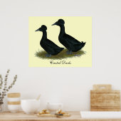 Eenden: Zwart Crested Poster (Keuken)