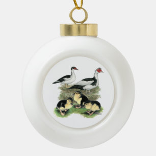 Eenden Zwarte Bonte Muskovy Familie Keramische Bal Ornament