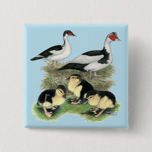 Eenden Zwarte Bonte Muskovy Familie Vierkante Button 5,1 Cm