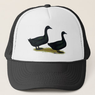 Eenden: Zwarte Cayugas Trucker Pet