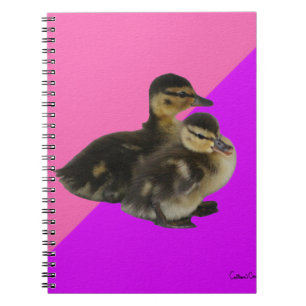 Eendjes op Roze Framboos en Paars Sorbet Notitieboek