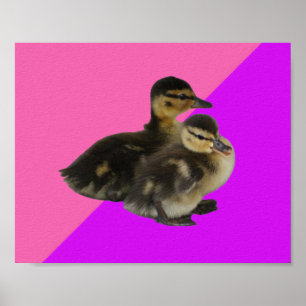 Eendjes op Roze Framboos en Paars Sorbet Poster
