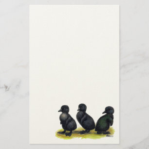 Eendjes Zwarte Cayuga Briefpapier