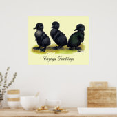 Eendjes Zwarte Cayuga Poster (Keuken)