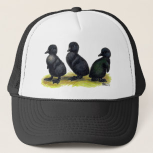 Eendjes Zwarte Cayuga Trucker Pet