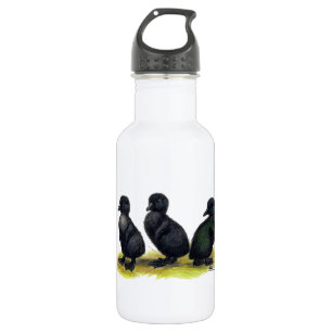 Eendjes Zwarte Cayuga Waterfles