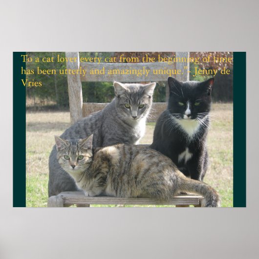 Eenduidige katten poster (Voorkant)